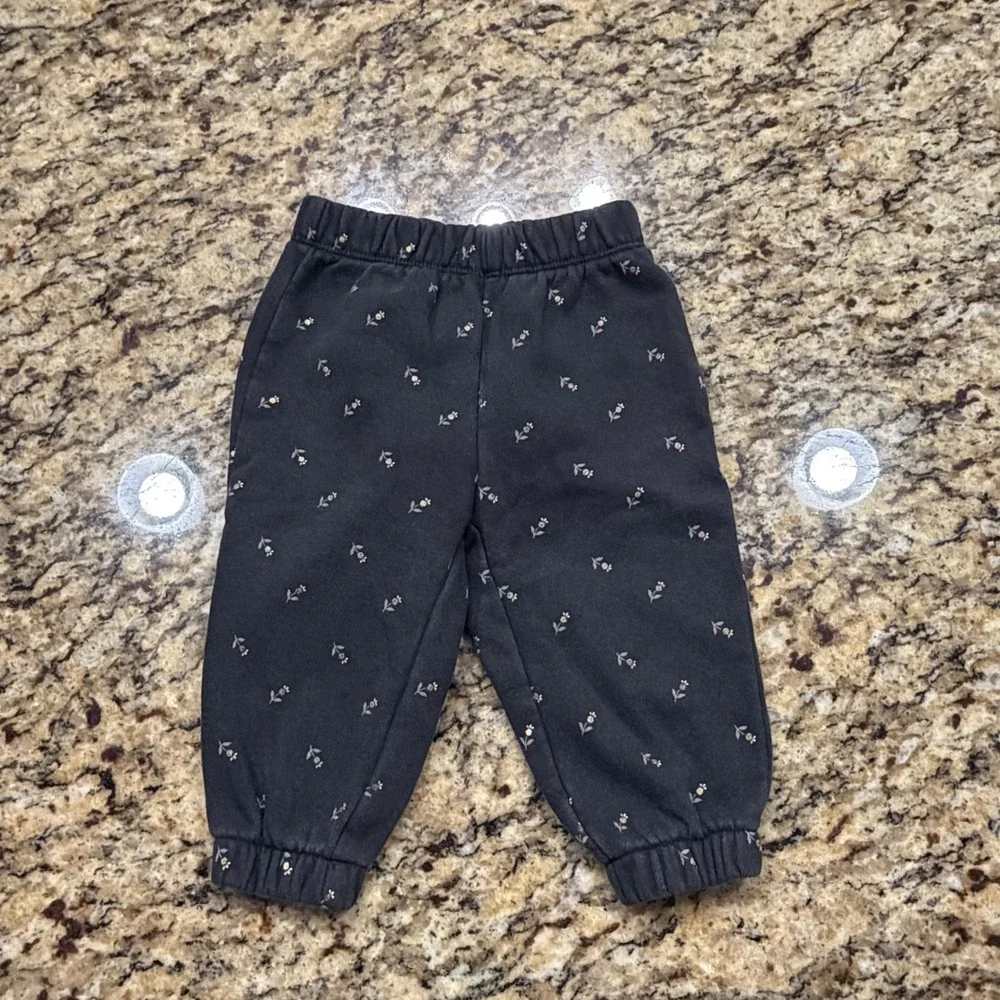 Baby Gap Floral Cropped Hoodie and Jogger Set Gray Bear‎ Ears 6-12 Months